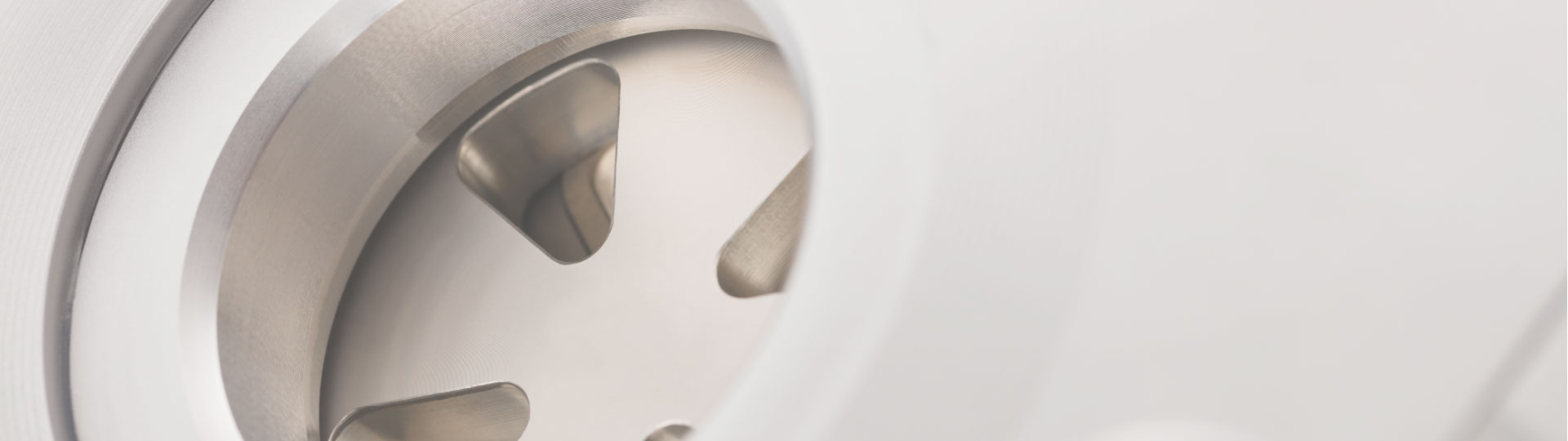 Segmentplattenventile